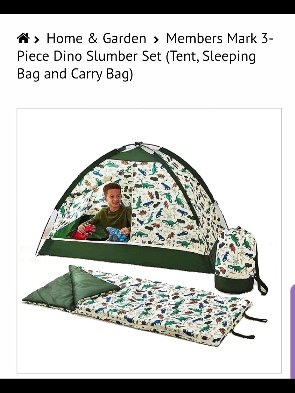 Kids' Dino Slumber Set - Green Dino Print Tent, Sleeping Bag & Carry Bag